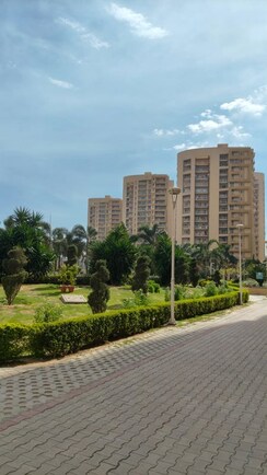 3 BHK + Servant Room Apartment For Sale in Sector 20