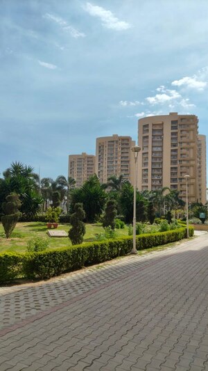 3 BHK Apartment For Sale in Sector 20
