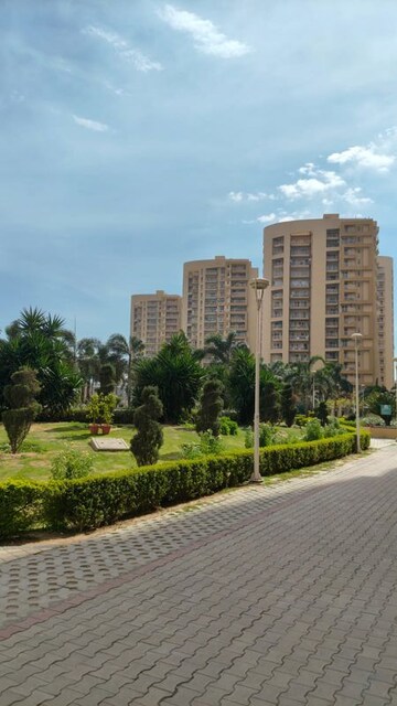 3 BHK Apartment For Sale in Sector 20