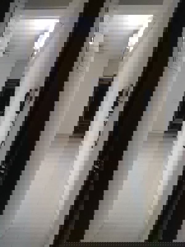 1 BHK Apartment For Rent in Lodha Splendora