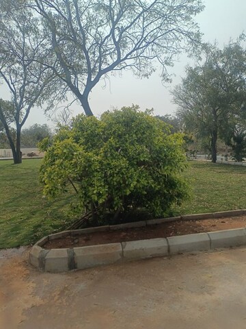 Plot Area in  Plot at Vasavi Green Leaf, Shamirpet – for Sale