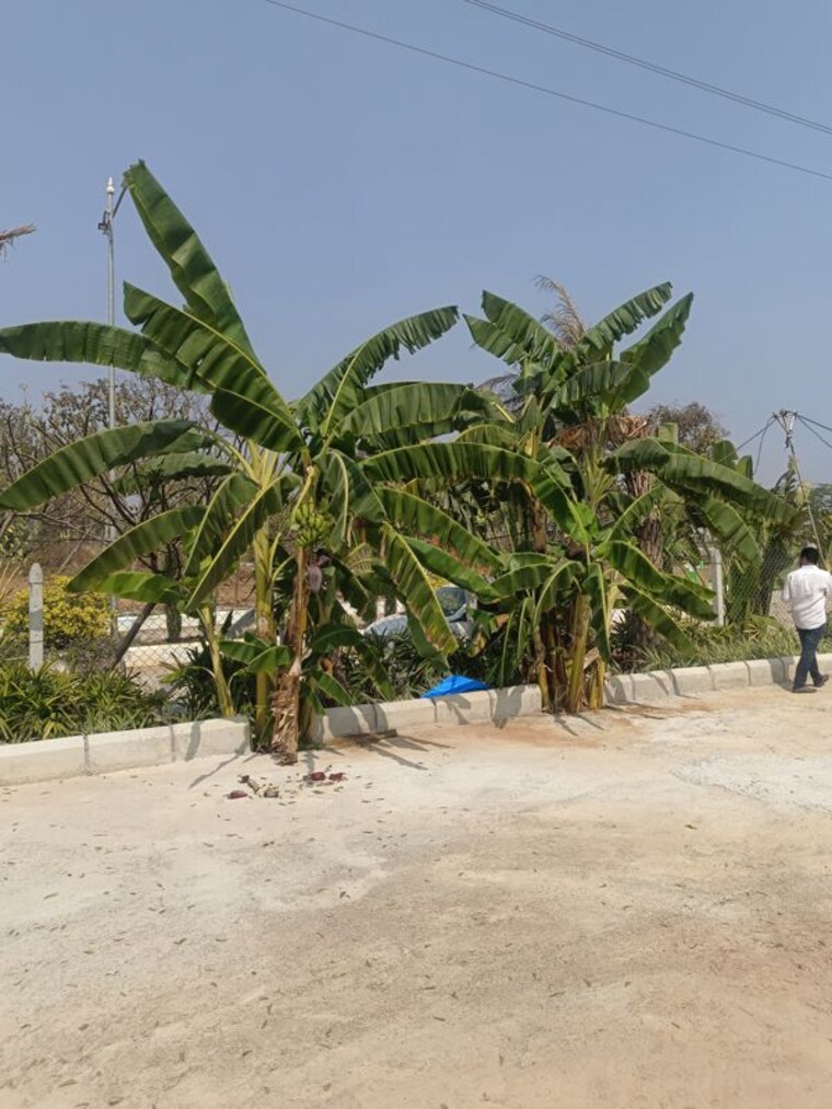 undefined, vasavi-green-leaf  200 Sq.Yd. Plot In Shamirpet Hyderabad 9871080
