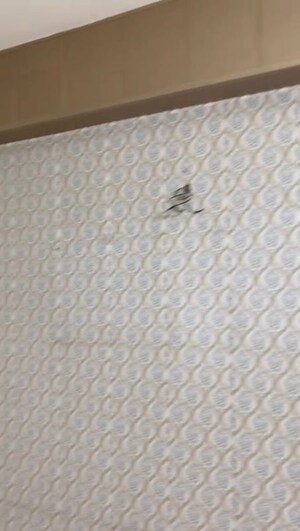 Room in 2 BHK Apartment at BPTP Princess Park, Sector 86 – for Rent