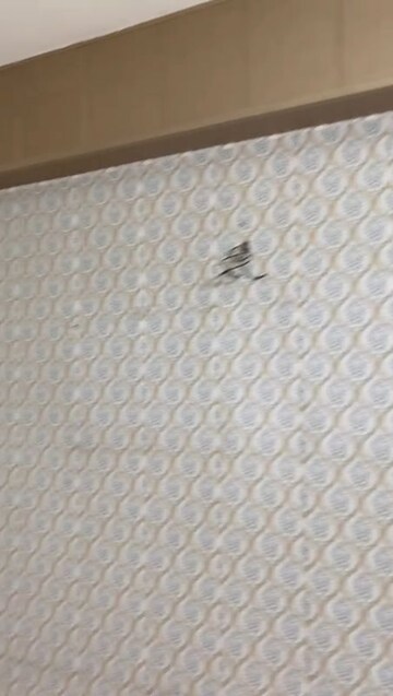 Room in 2 BHK Apartment at BPTP Princess Park, Sector 86 – for Rent