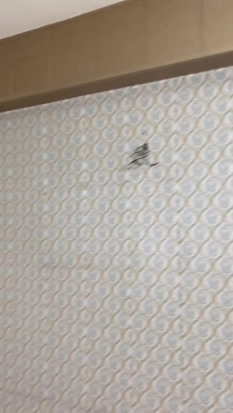 Room, bptp-princess-park 2 Bedroom 795 Sq.Ft. Apartment In Sector 86 Faridabad 9871316