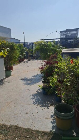 4 BHK Builder Floor – Garden View at Panchsheel Park - for Rent