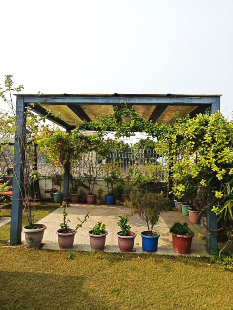 Garden, panchsheel park 4 Bedroom 4500 Sq.Ft. Builder Floor In Panchsheel Park Delhi 9871215