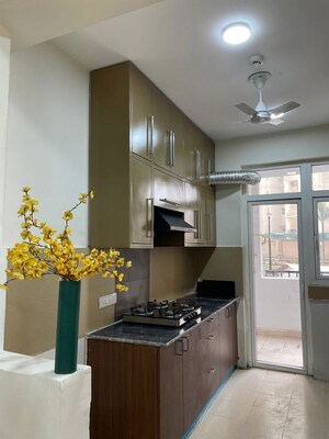 Living Room in 2 BHK Villa at RWA Apartments Sector 52, Sector 52 – for Rent