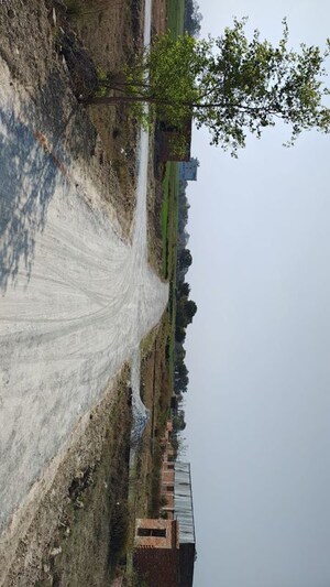  Plot – Exterior View View at Gangapur - for Sale