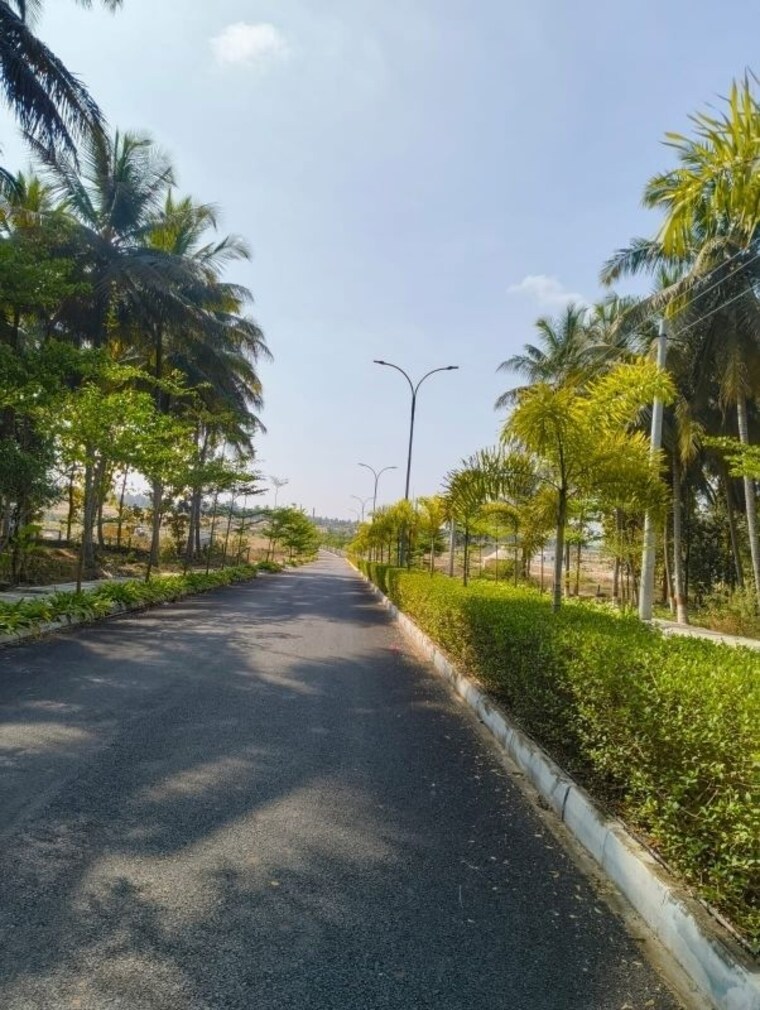 Garden, vijay nagar  1200 Sq.Yd. Plot In Vijay Nagar Hassan 9871557