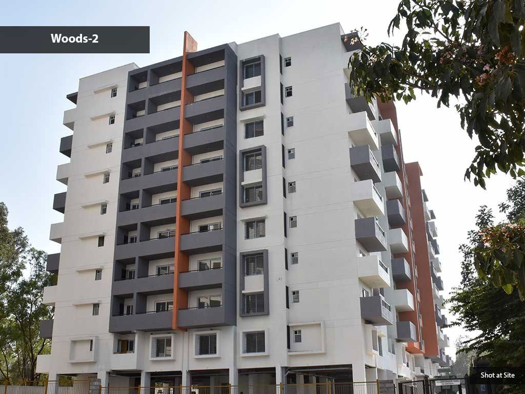 3 BHK + Pooja Room 1415 Sq.Ft. Apartment in Renaissance Woods Phase I