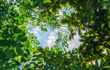 3 BHK Apartment – Garden View at Assetz Zen And Sato, Sathnur - for Sale