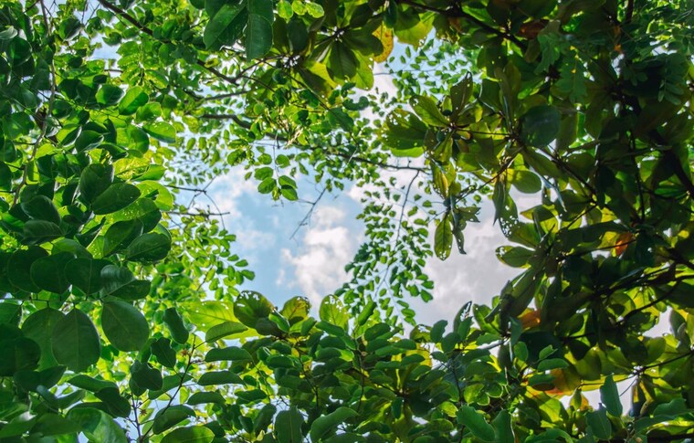 Garden, assetz-zen-and-sato 3 Bedroom 2150 Sq.Ft. Apartment In Sathnur Bangalore 9871634