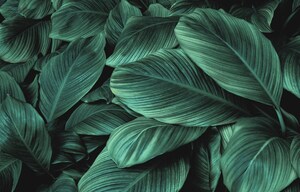 Team Area in 3 BHK Apartment at Assetz Zen And Sato, Sathnur – for Sale