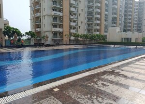 Swimming Pool in 3 BHK Apartment at Emaar Imperial Gardens, Sector 102 – for Rent