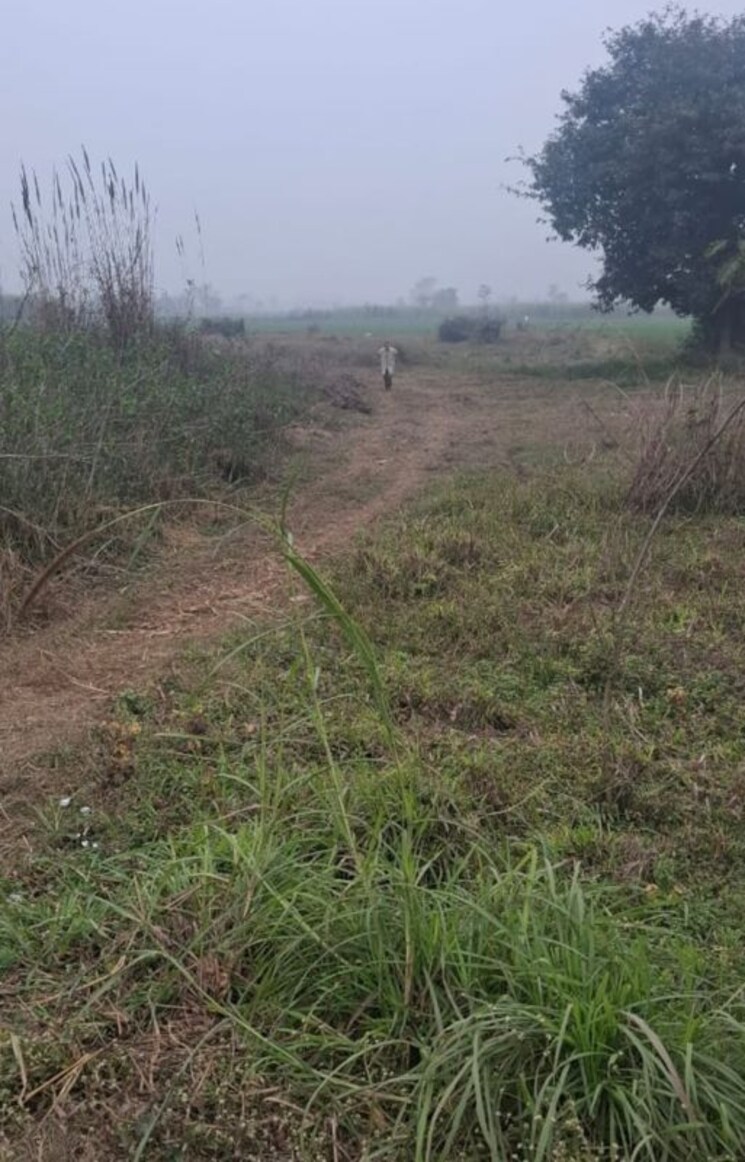 undefined, kankhal  100 Sq.Yd. Plot In Kankhal Haridwar 9871894