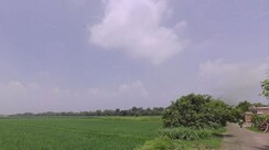 Plot For Sale in Kankhal