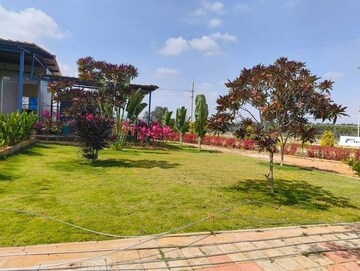  Plot – Exterior View View at Vijay Nagar - for Sale