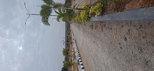  Plot – Exterior View View at Mangalpalle - for Sale