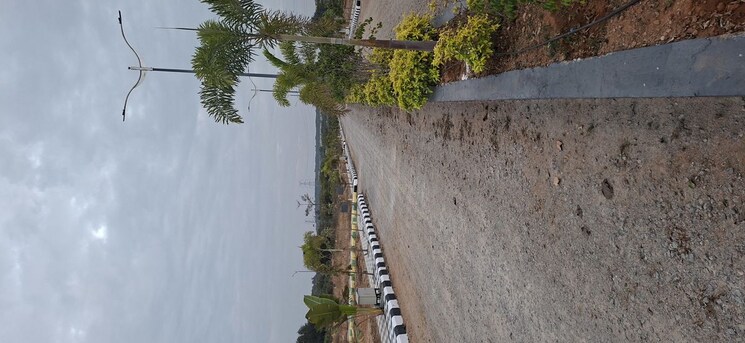 Exterior View, mangalpalle  167 Sq.Yd. Plot In Mangalpalle Hyderabad 9871936