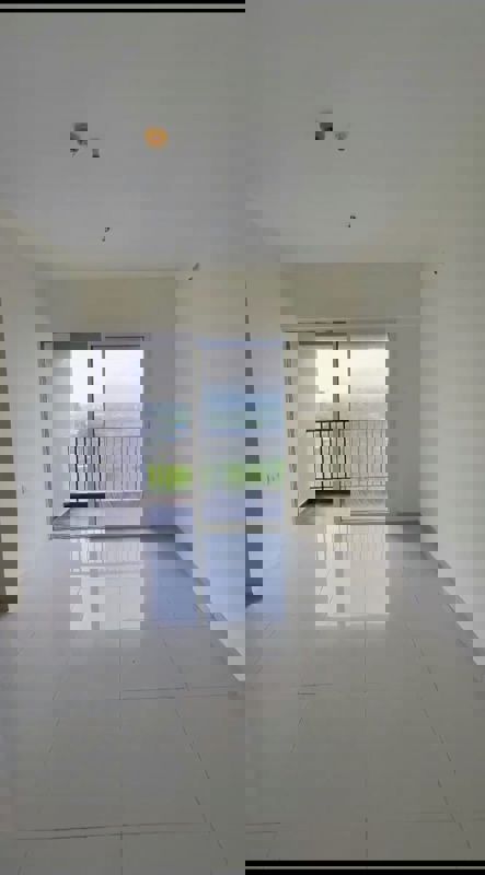 2 BHK + Pooja Room Apartment For Rent in Hinjewadi