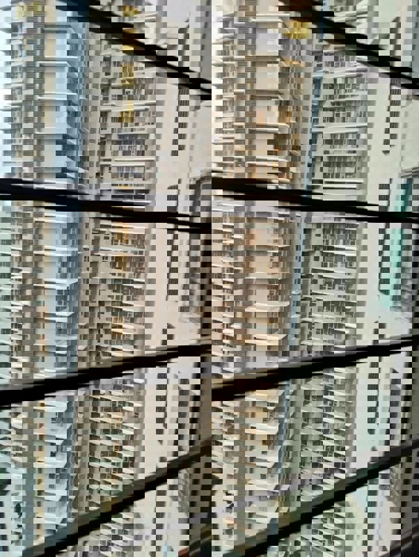 2.5 BHK Apartment For Rent in Oberoi Springs