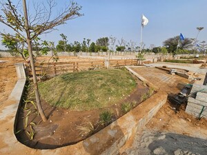 Plot Area in  Plot at Prithvisinghpura At Naiwala – for Sale