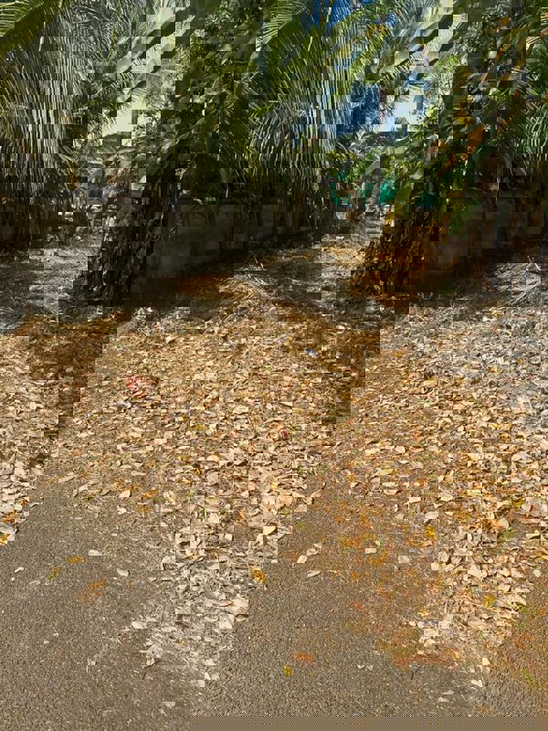 Plot For Sale in Viyyur