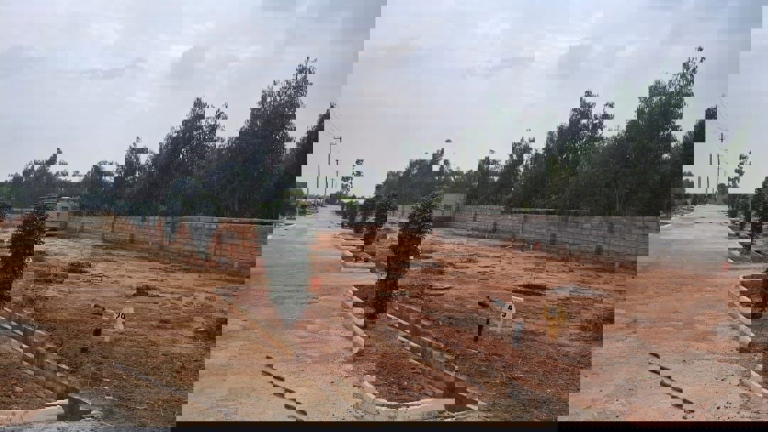 Plot For Sale in Malur