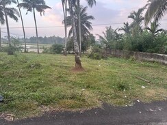 Plot For Sale in Olary