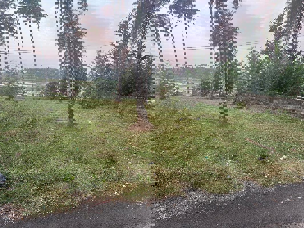 Plot For Sale in Olary