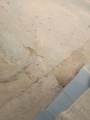 2 BHK Apartment For Sale in Kphb