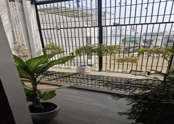 2 BHK Builder Floor For Rent in Shalimar Garden