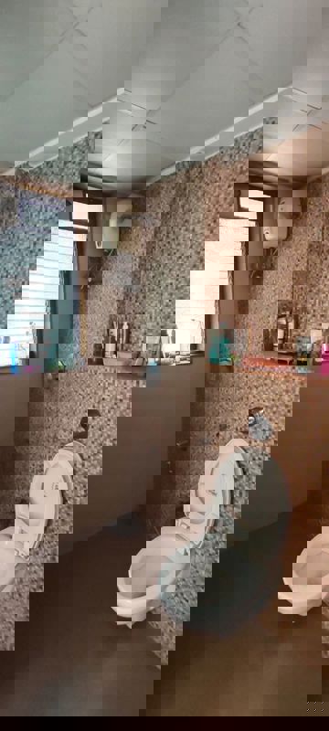 1 BHK Apartment For Rent in Lodha Palava Downtown Dombivli East