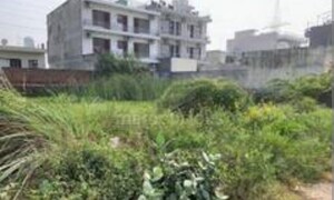  Plot For Sale in Amolik Aster Woods, Sector 98