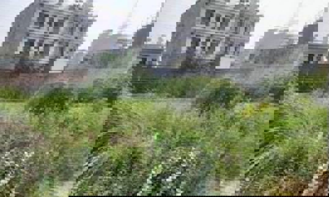 Plot For Sale in Amolik Aster Woods