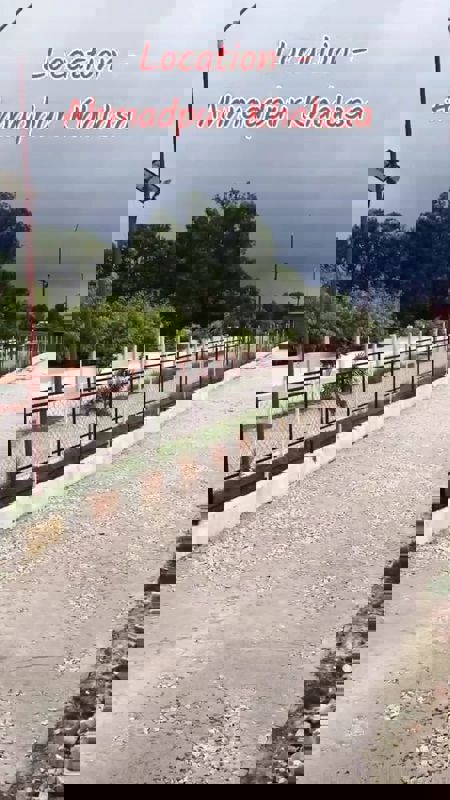 Plot For Sale in Mohanlalganj