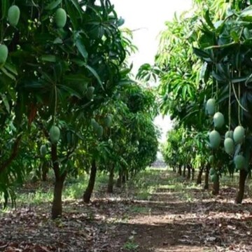  Land For Sale in Sawantwadi