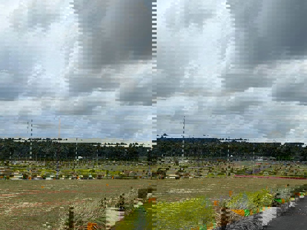 Plot For Sale in Bharathi Nagar