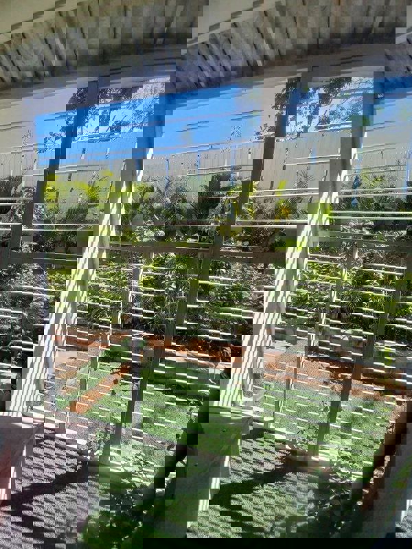 2 BHK Apartment For Rent in Casagrand Lorenza