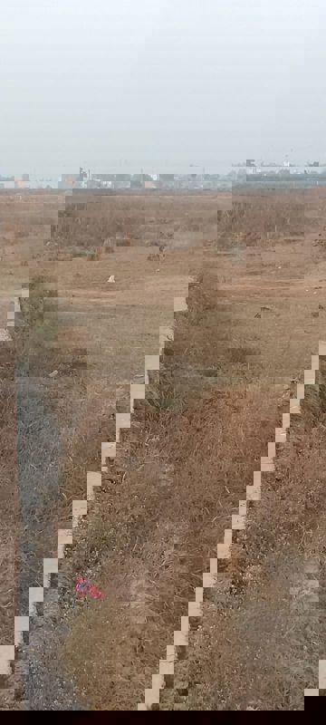 Plot For Sale in Wave City