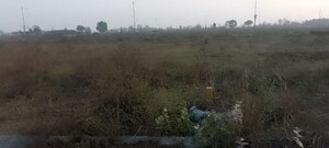 Plot Area in  Plot at Wave City, Wave City – for Sale