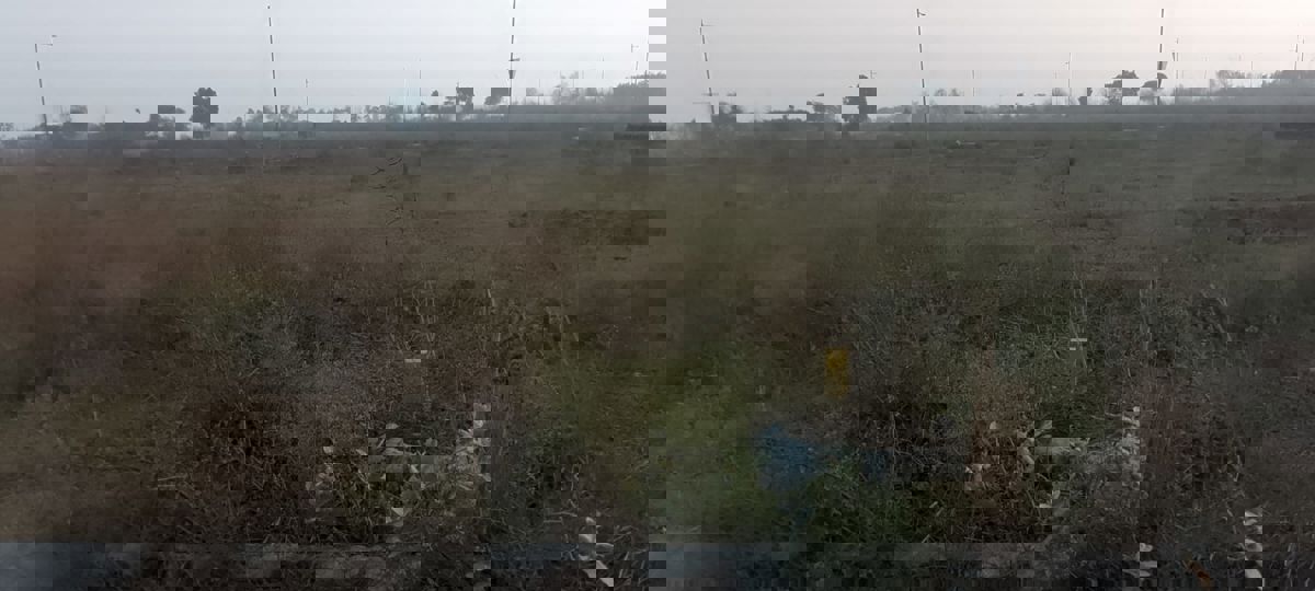 Plot For Sale in Wave City