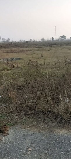 Plot For Sale in Wave City