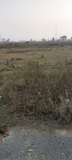 Plot Area in  Plot at Wave City, Wave City – for Sale