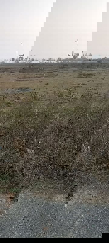 Plot For Sale in Wave City