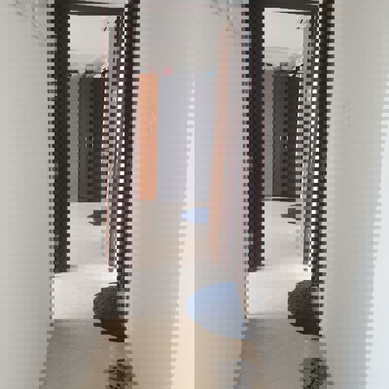 2 BHK Apartment For Rent in Shapoorji Pallonji Vicinia