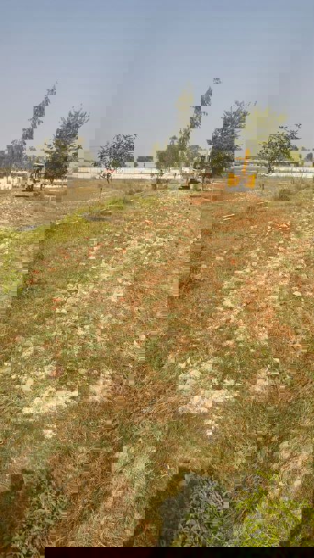 Plot For Sale in Rohania