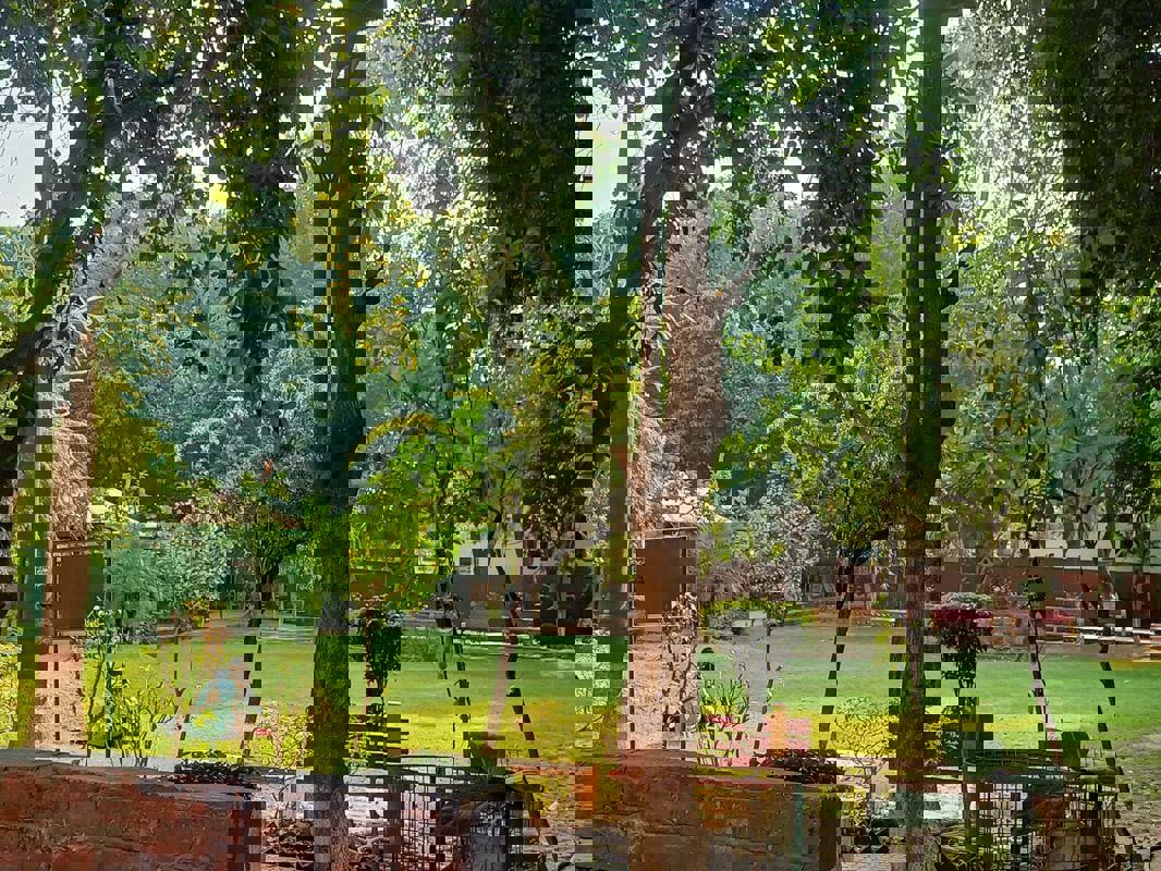 1.5 BHK 331 Sq.Ft. Penthouse in Unitech Cyber Park