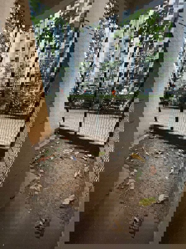 1 BHK + Extra Room Apartment For Rent in Lodha Palava City Lakeshore Greens